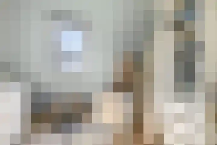 Fazantweg 5 Havelte thumbnail 22