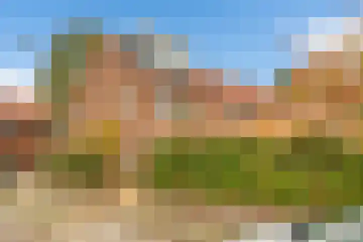 Fazantweg 5 Havelte thumbnail 31