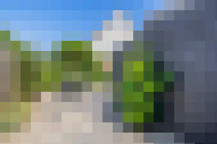 Fazantweg 5 Havelte thumbnail 32