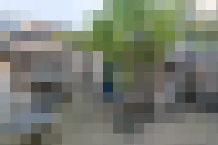 Fazantweg 5 Havelte thumbnail 7