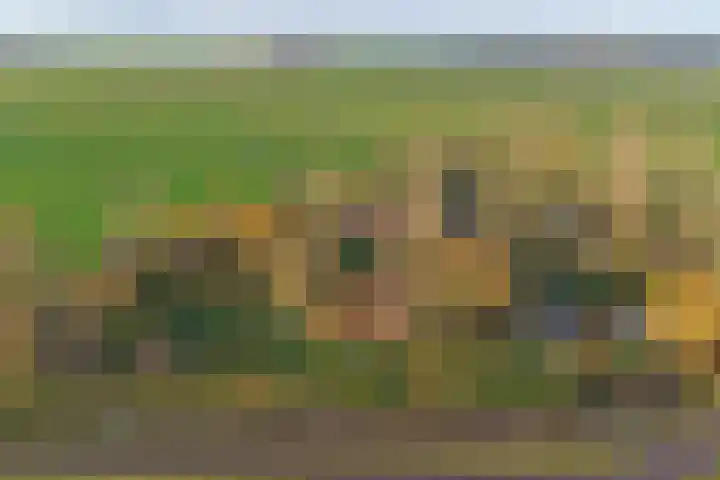 Feandyk 2 It Heidenskip