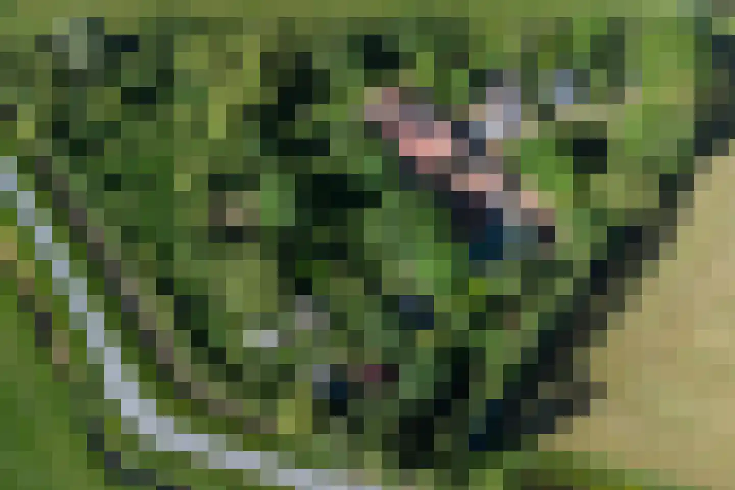 Feandyk 2 It Heidenskip