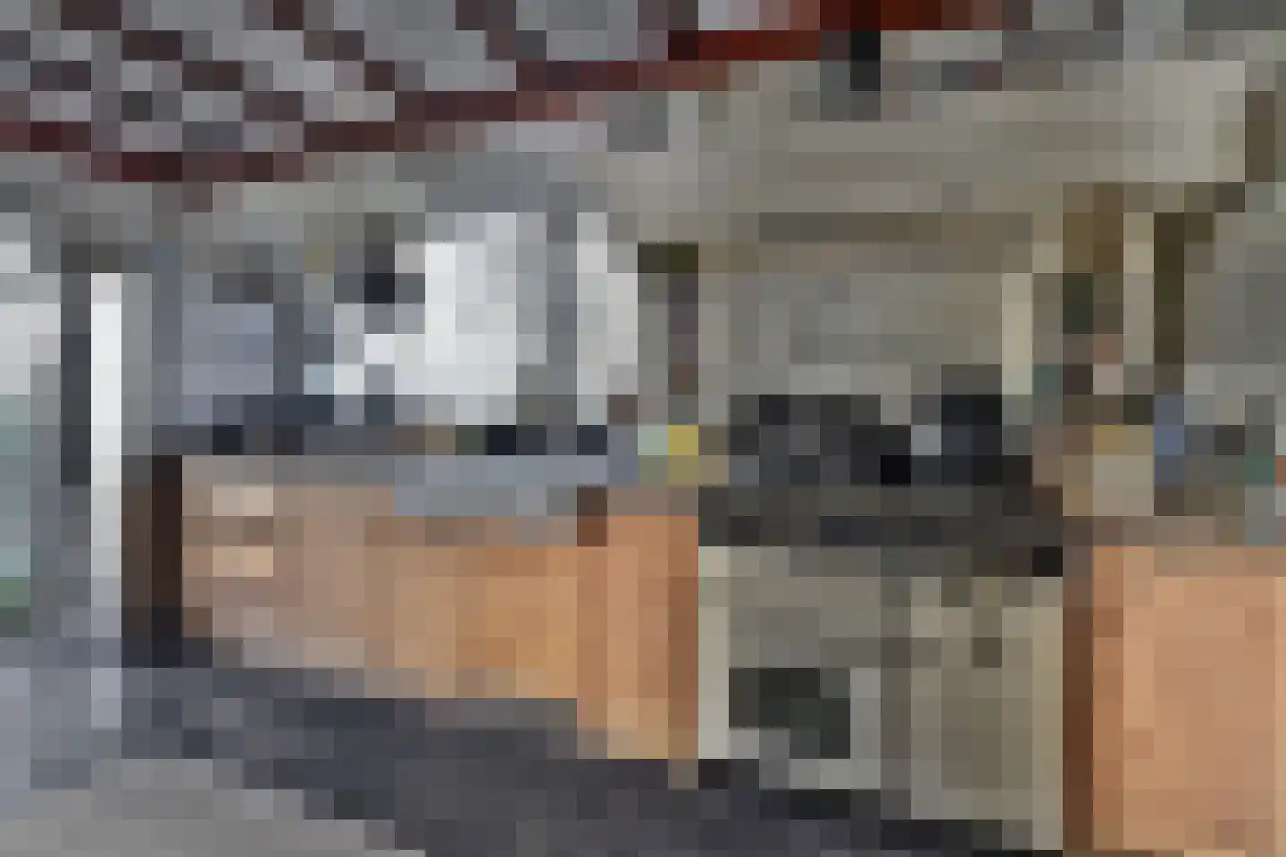 Feandyk 2 It Heidenskip thumbnail 11