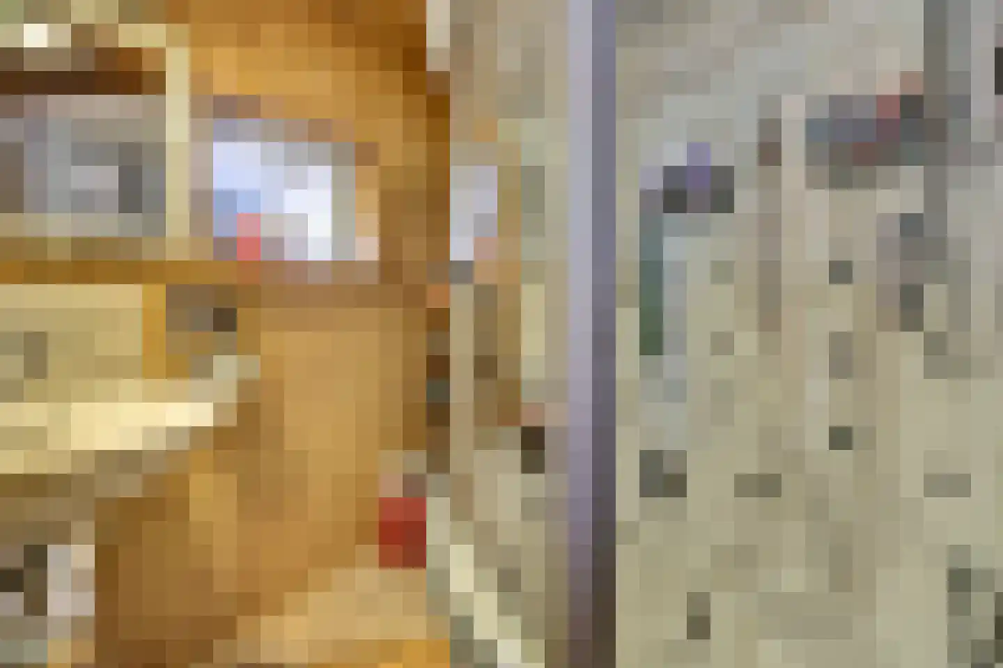 Feandyk 2 It Heidenskip thumbnail 13