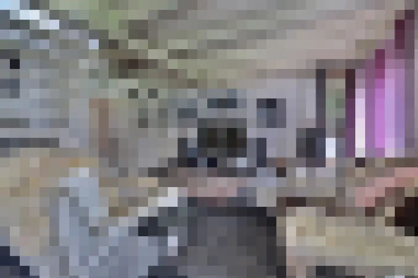Feandyk 2 It Heidenskip thumbnail 16