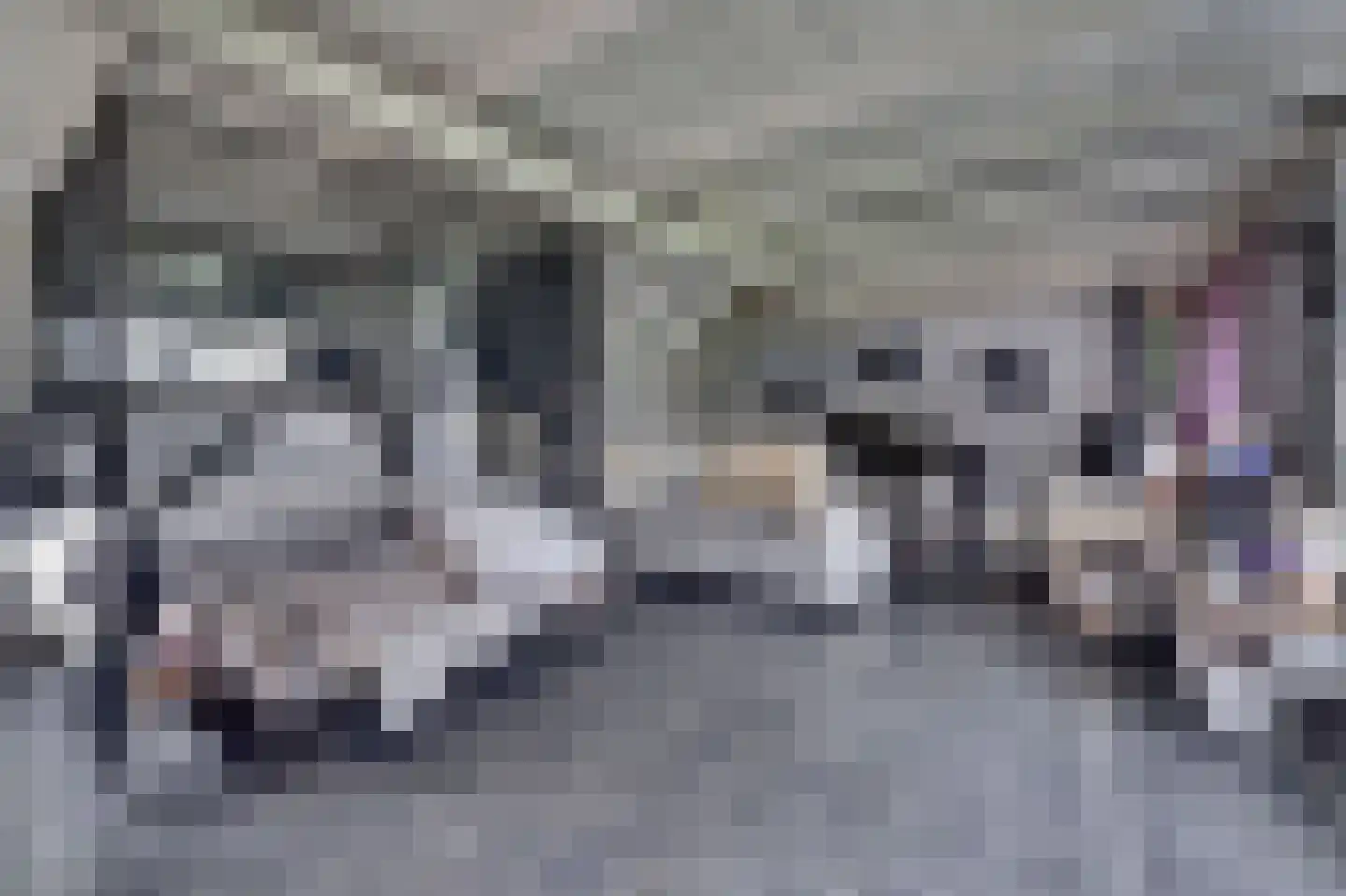 Feandyk 2 It Heidenskip thumbnail 17