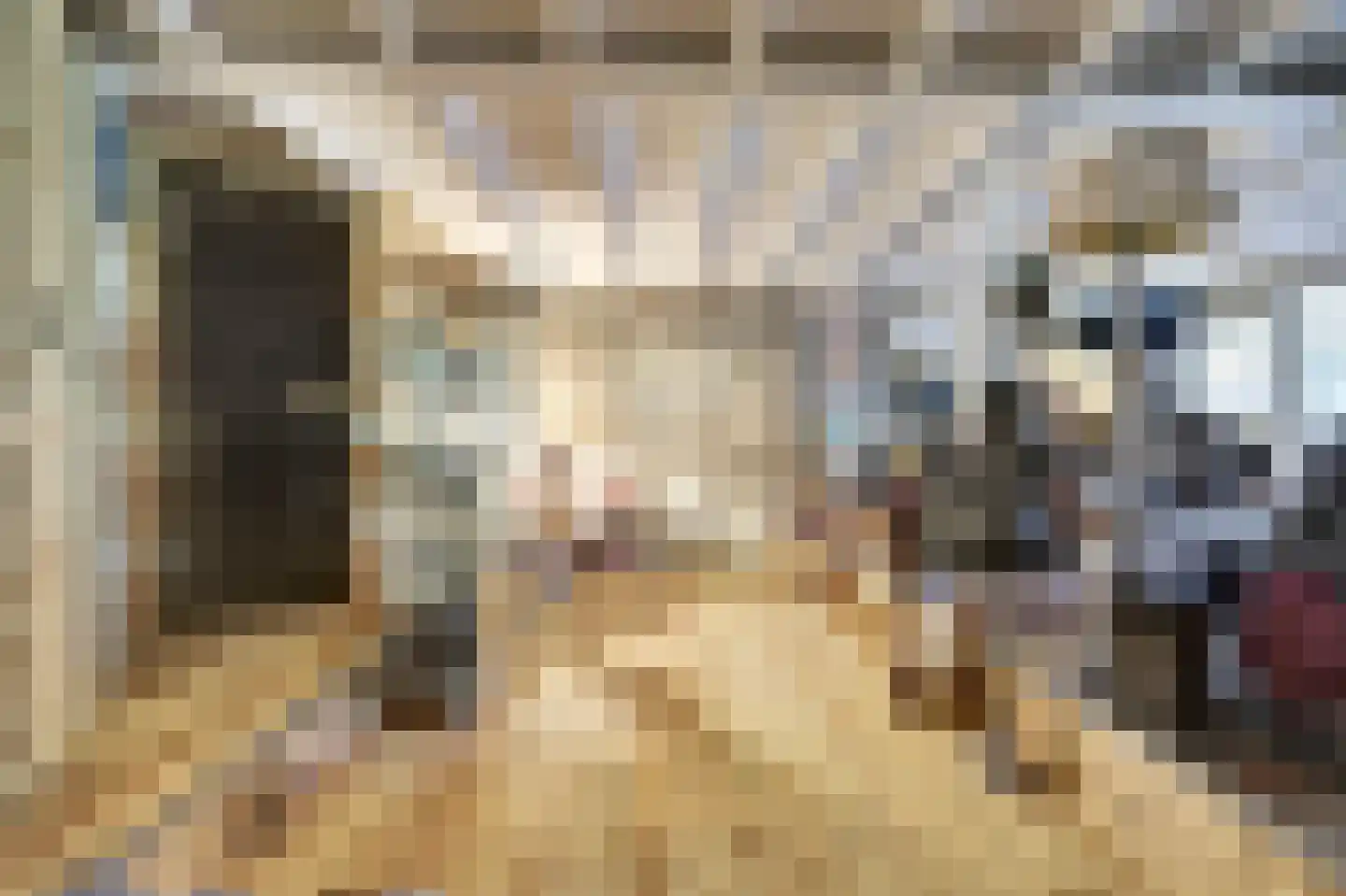 Feandyk 2 It Heidenskip thumbnail 21