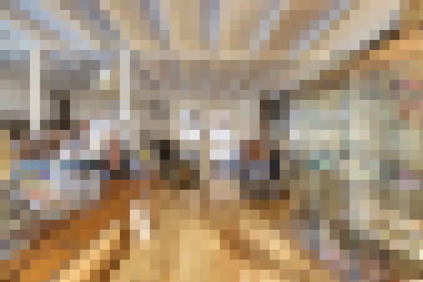 Feandyk 2 It Heidenskip thumbnail 22