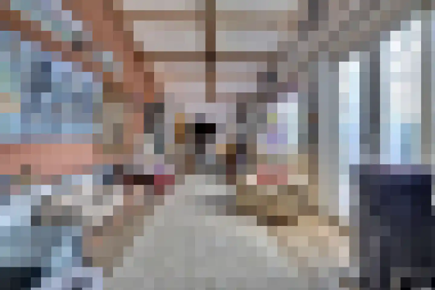 Feandyk 2 It Heidenskip thumbnail 24