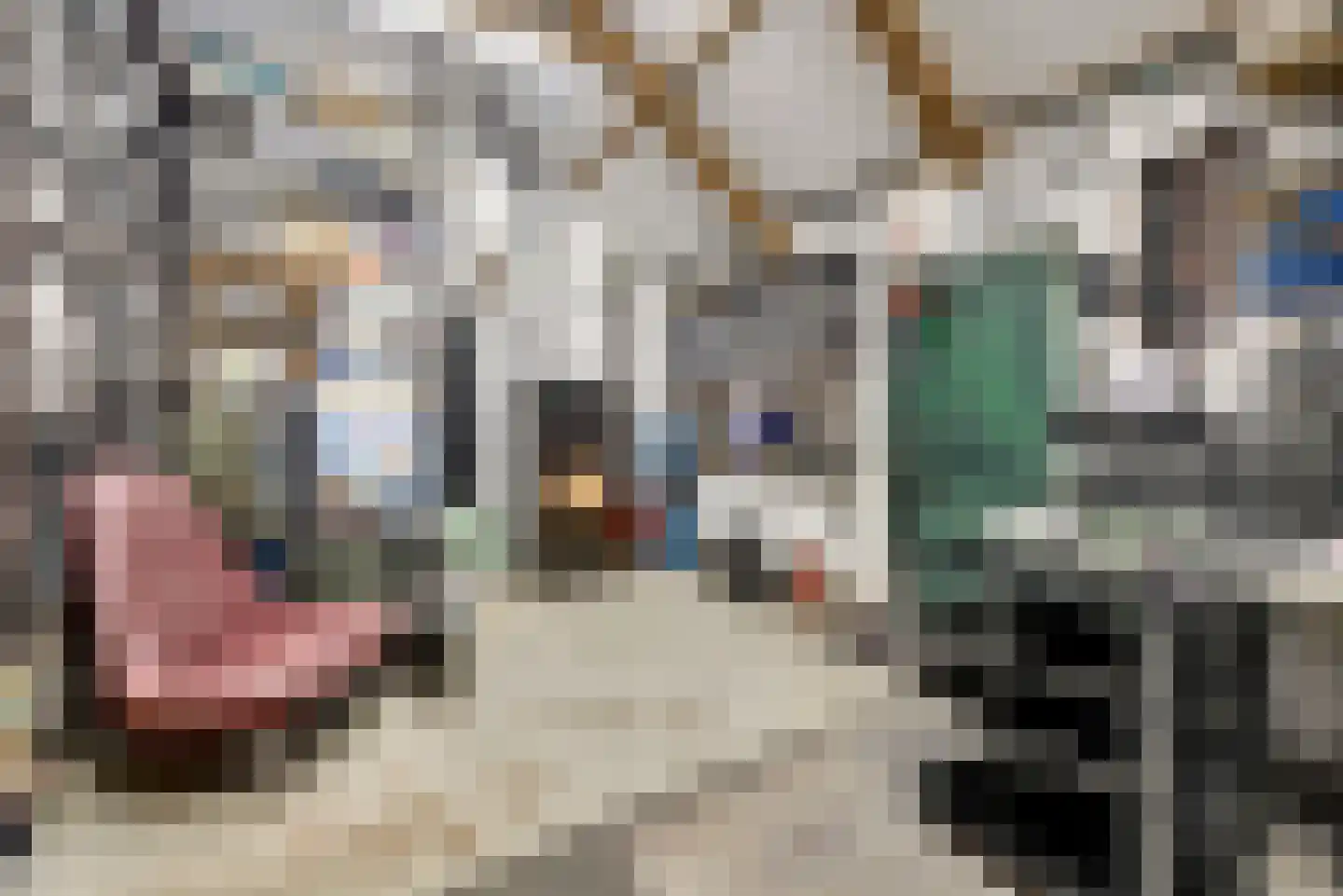 Feandyk 2 It Heidenskip thumbnail 28