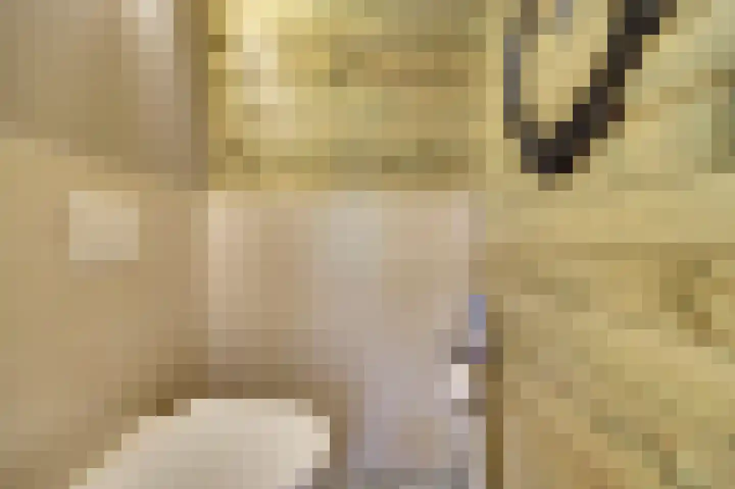 Feandyk 2 It Heidenskip thumbnail 39