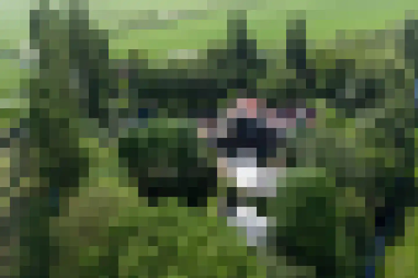 Feandyk 2 It Heidenskip thumbnail 4