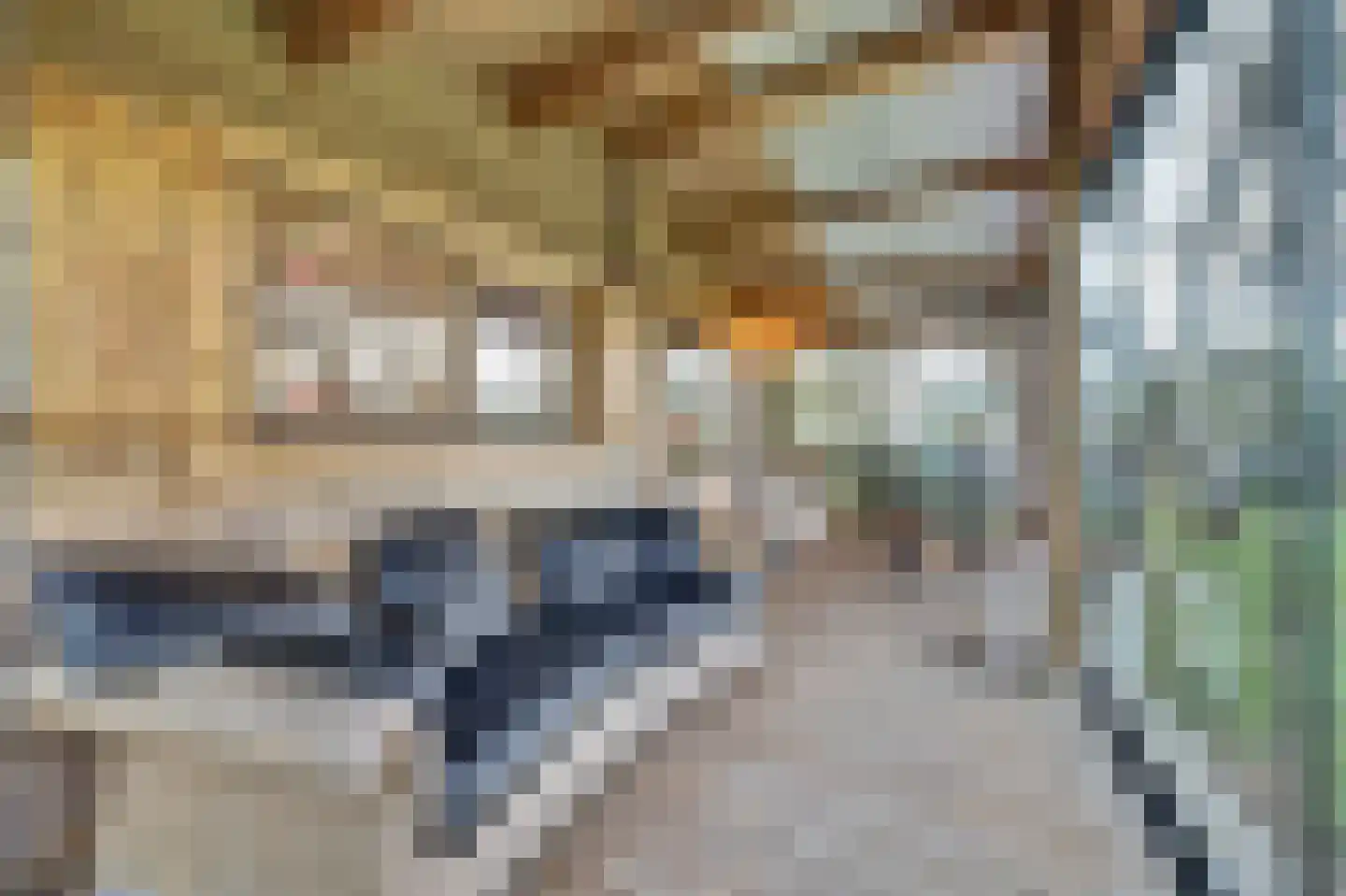 Feandyk 2 It Heidenskip thumbnail 45