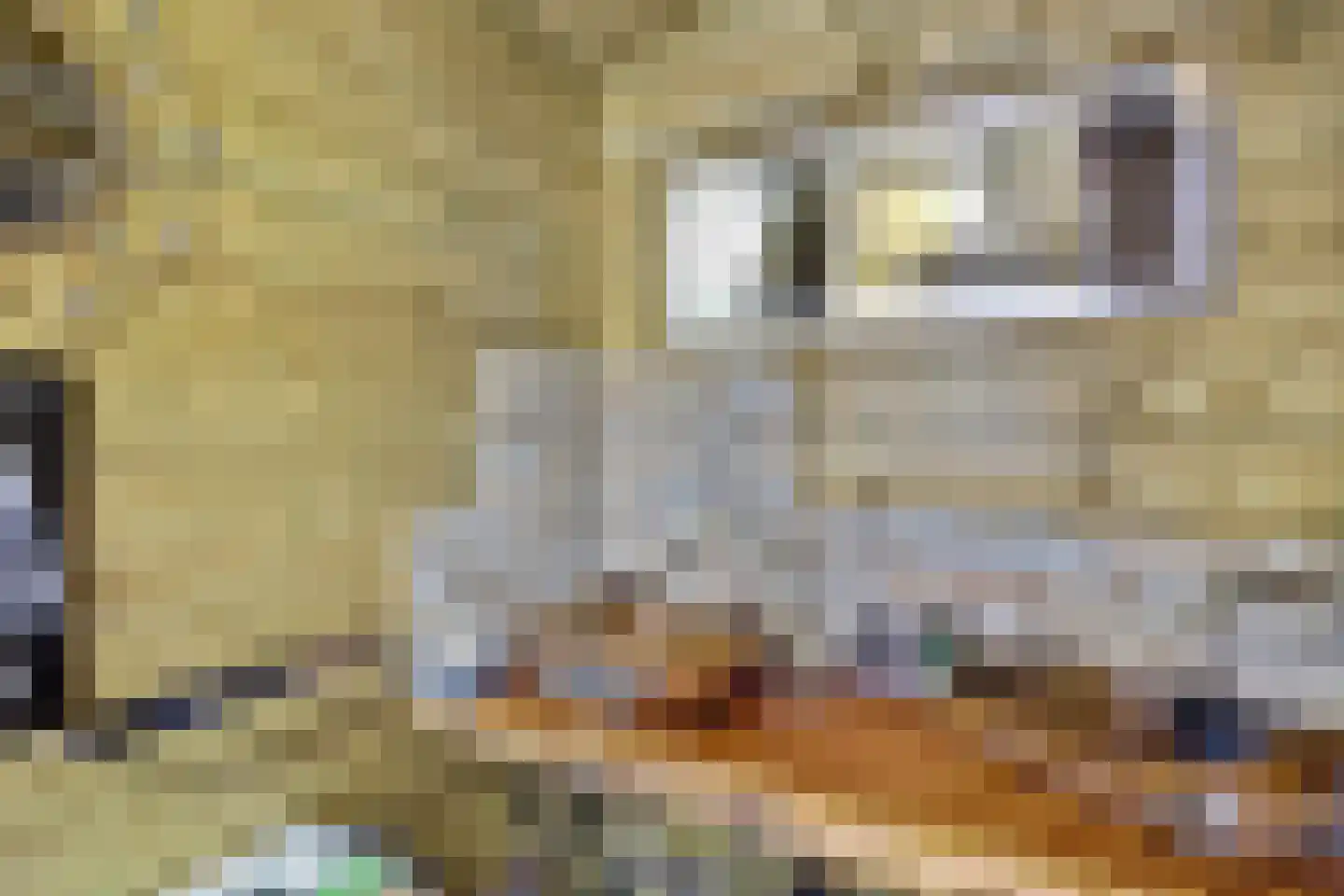 Feandyk 2 It Heidenskip thumbnail 48