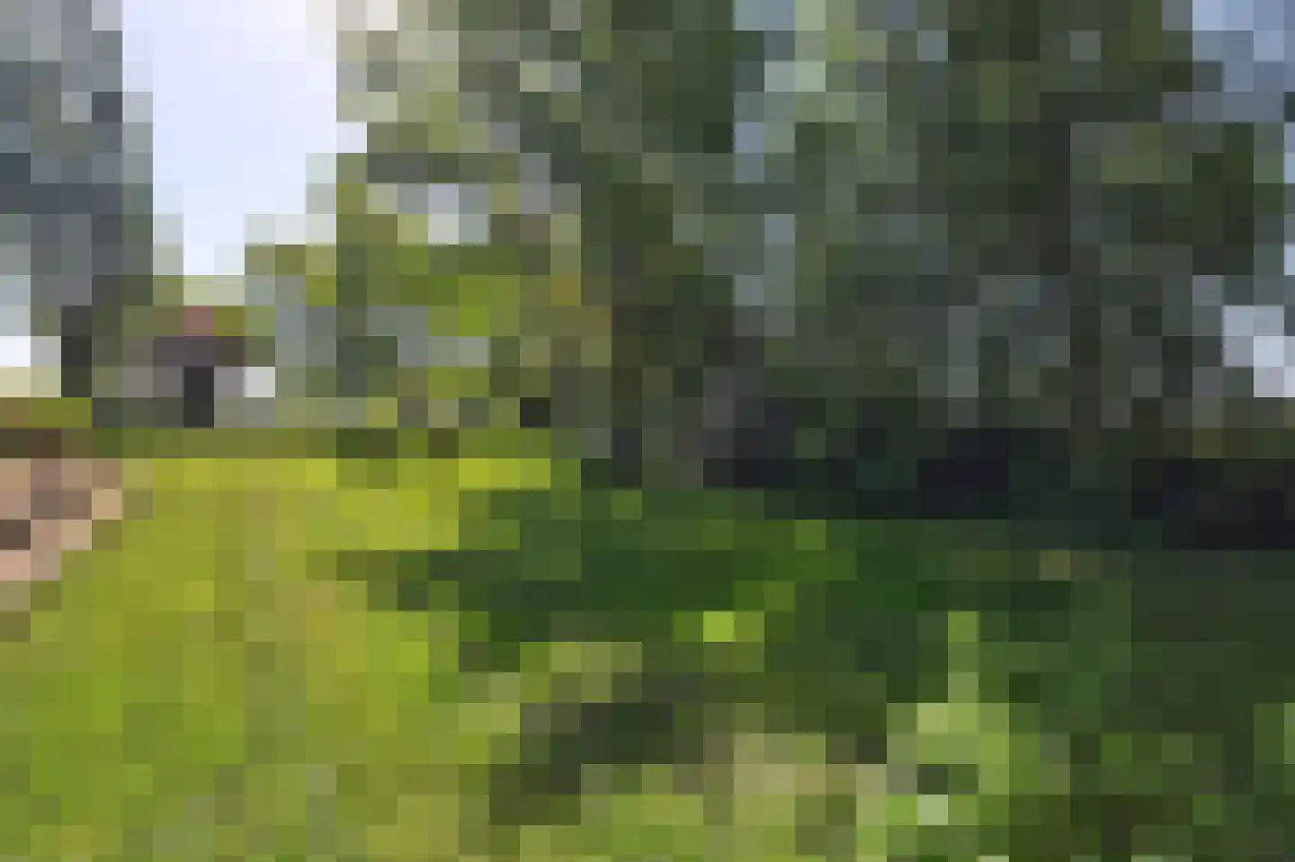 Feandyk 2 It Heidenskip thumbnail 51
