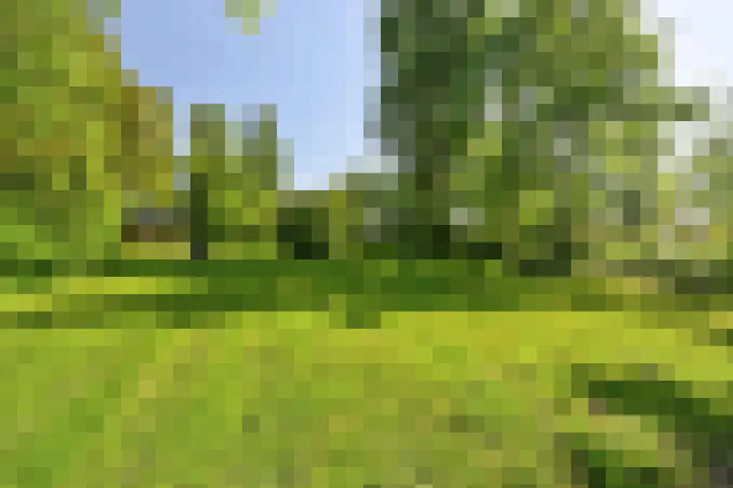 Feandyk 2 It Heidenskip thumbnail 54