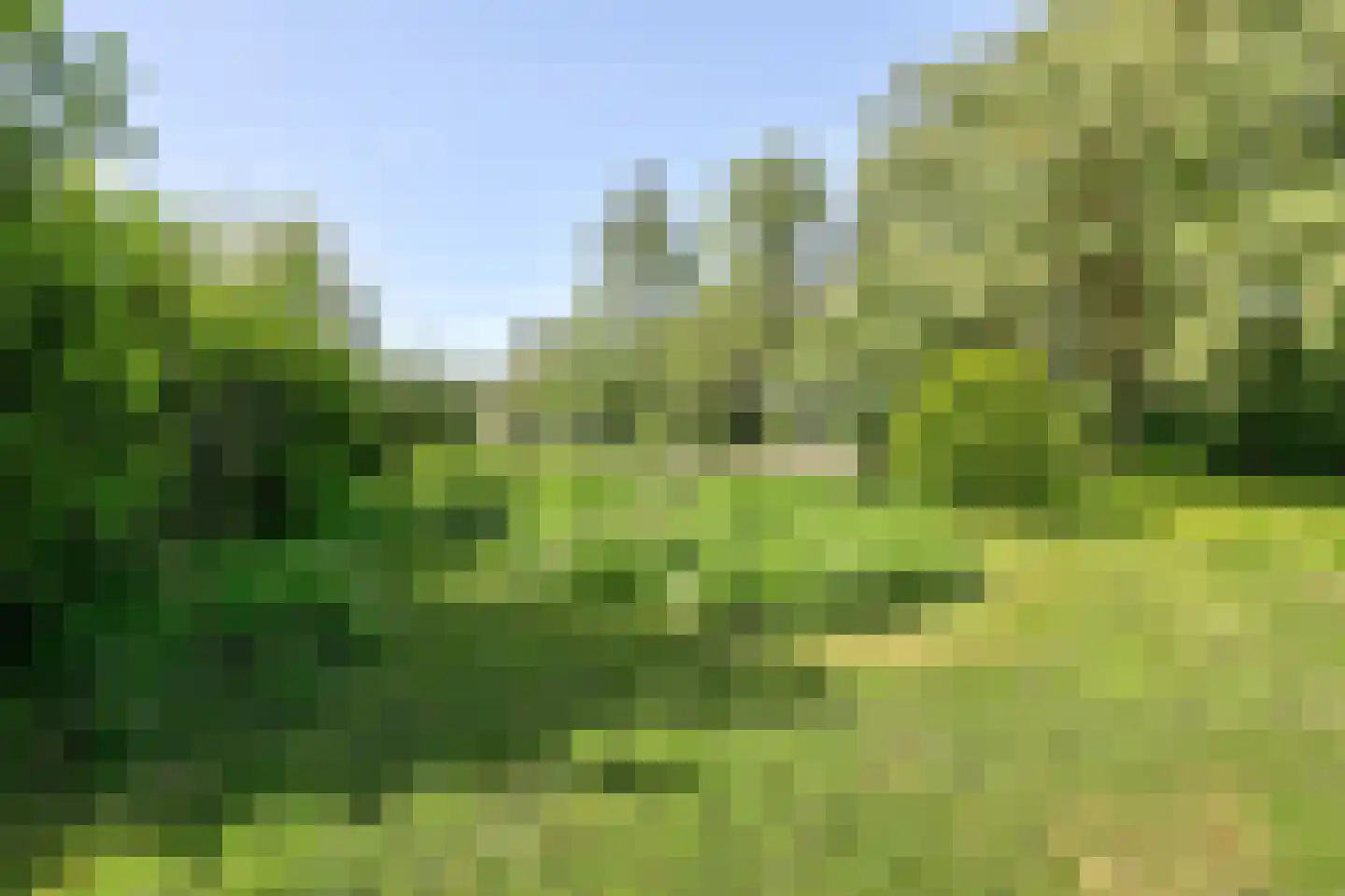 Feandyk 2 It Heidenskip thumbnail 55