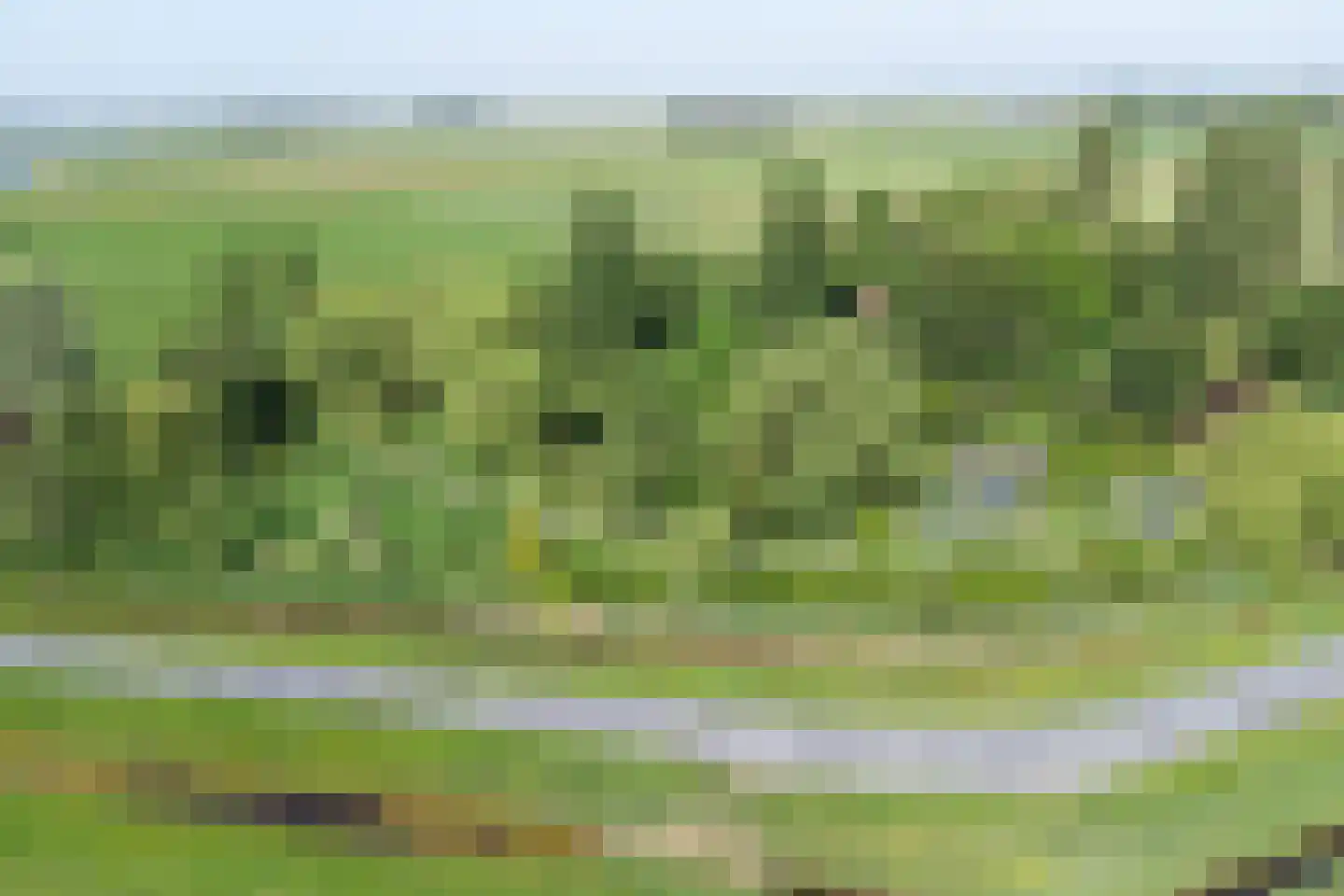 Feandyk 2 It Heidenskip thumbnail 56