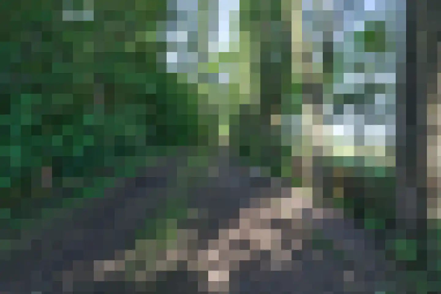 Feandyk 2 It Heidenskip thumbnail 6
