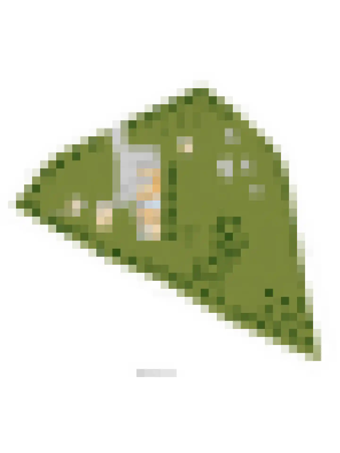 Feandyk 2 It Heidenskip thumbnail 60
