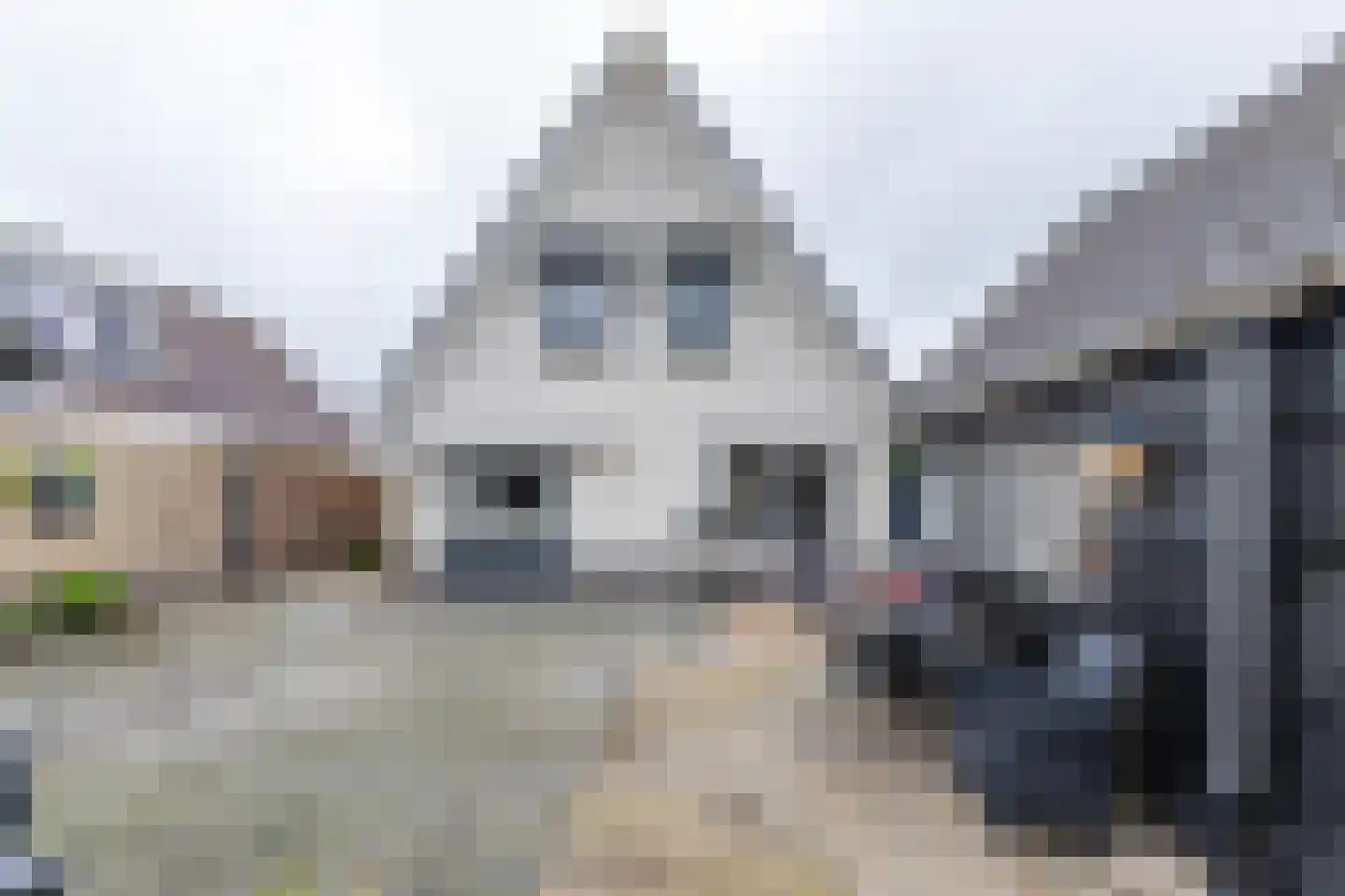 Feanhout 27 Feanwâlden thumbnail 25