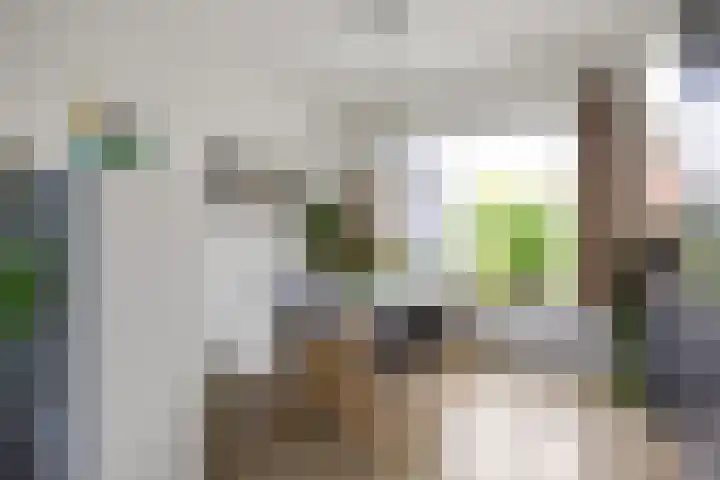 Feansterdyk 13 Akkrum thumbnail 12