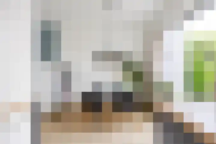 Feansterdyk 13 Akkrum thumbnail 13