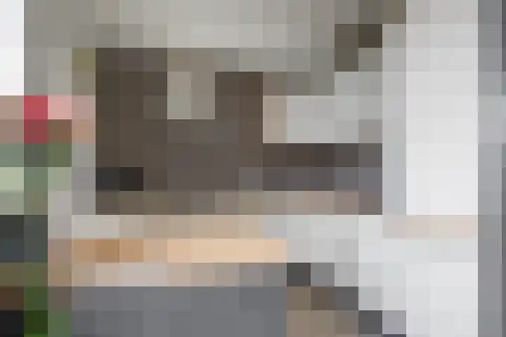 Feansterdyk 13 Akkrum thumbnail 14