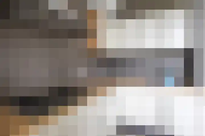 Feansterdyk 13 Akkrum thumbnail 15