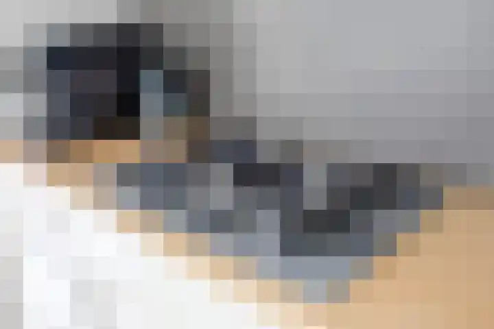 Feansterdyk 13 Akkrum thumbnail 17