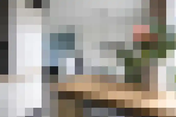 Feansterdyk 13 Akkrum thumbnail 18