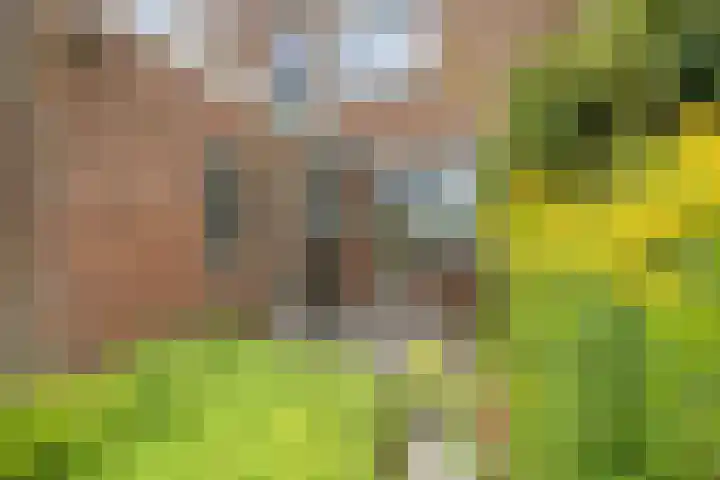 Feansterdyk 13 Akkrum thumbnail 29