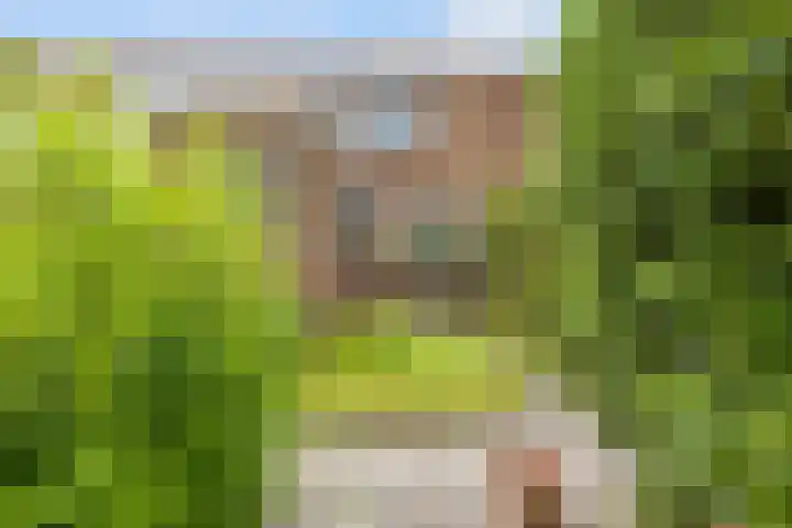 Feansterdyk 13 Akkrum thumbnail 31