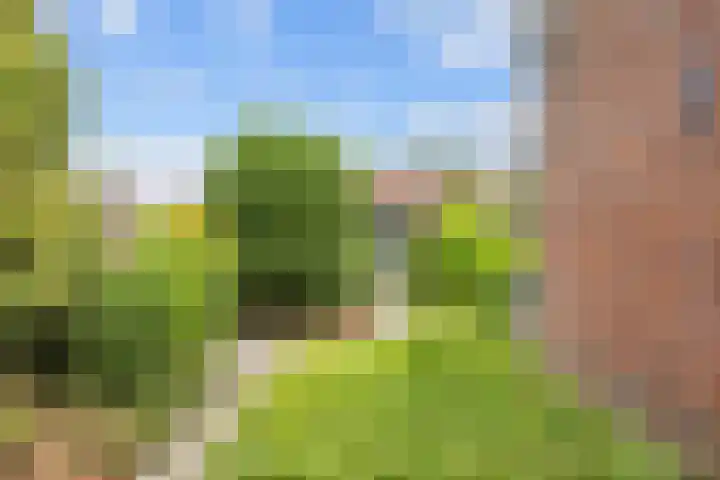 Feansterdyk 13 Akkrum thumbnail 32