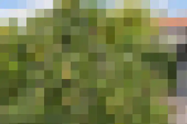 Feansterdyk 13 Akkrum thumbnail 33