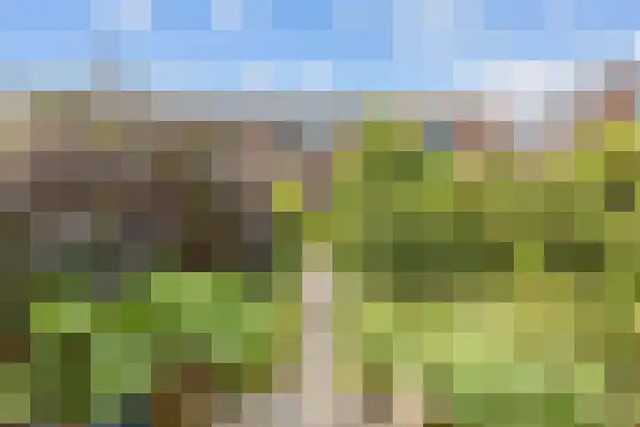 Feansterdyk 13 Akkrum thumbnail 35
