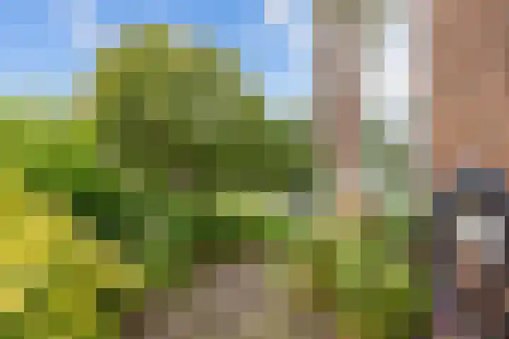 Feansterdyk 13 Akkrum thumbnail 37