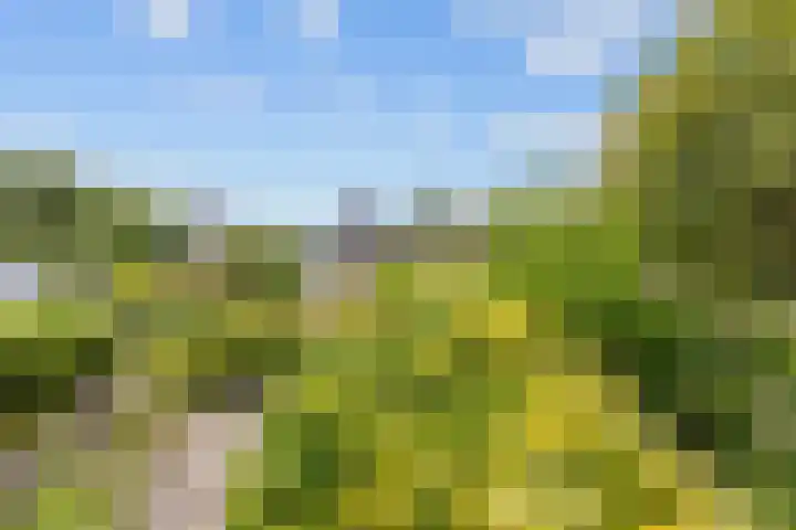 Feansterdyk 13 Akkrum thumbnail 38
