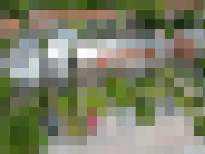 Feansterdyk 13 Akkrum thumbnail 39