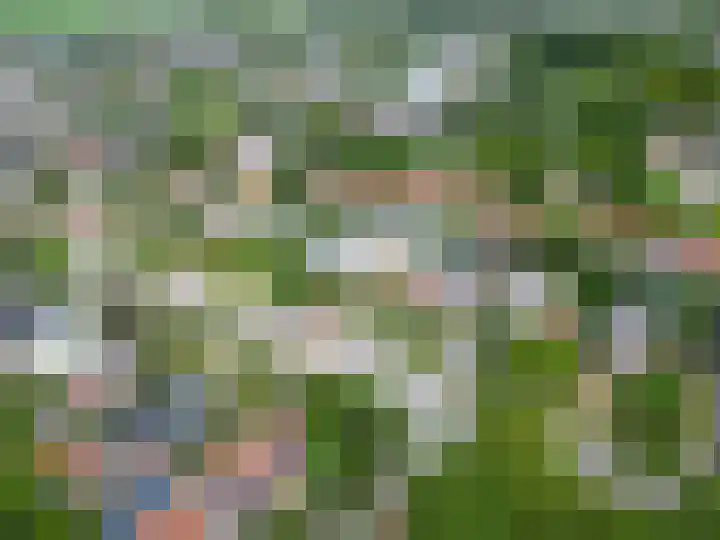 Feansterdyk 13 Akkrum thumbnail 41