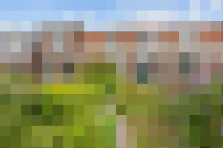 Feansterdyk 13 Akkrum thumbnail 43