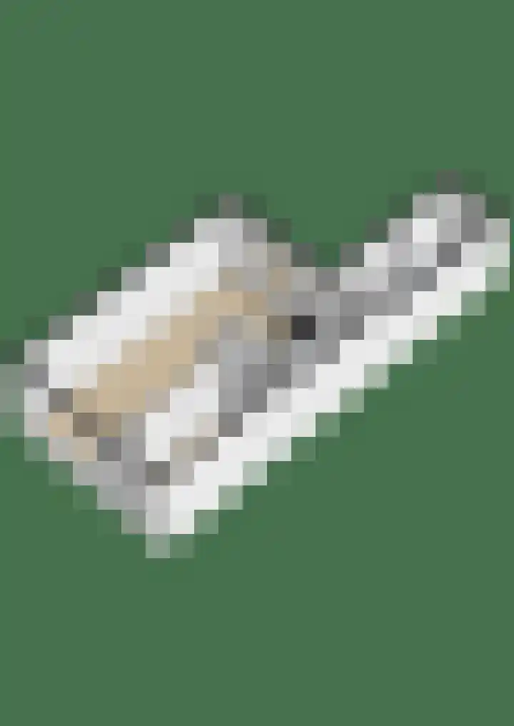 Feansterdyk 13 Akkrum thumbnail 46