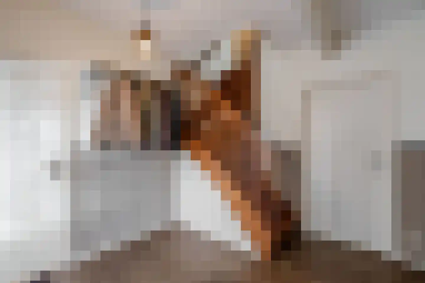 Feansterdyk 41 Akkrum thumbnail 18