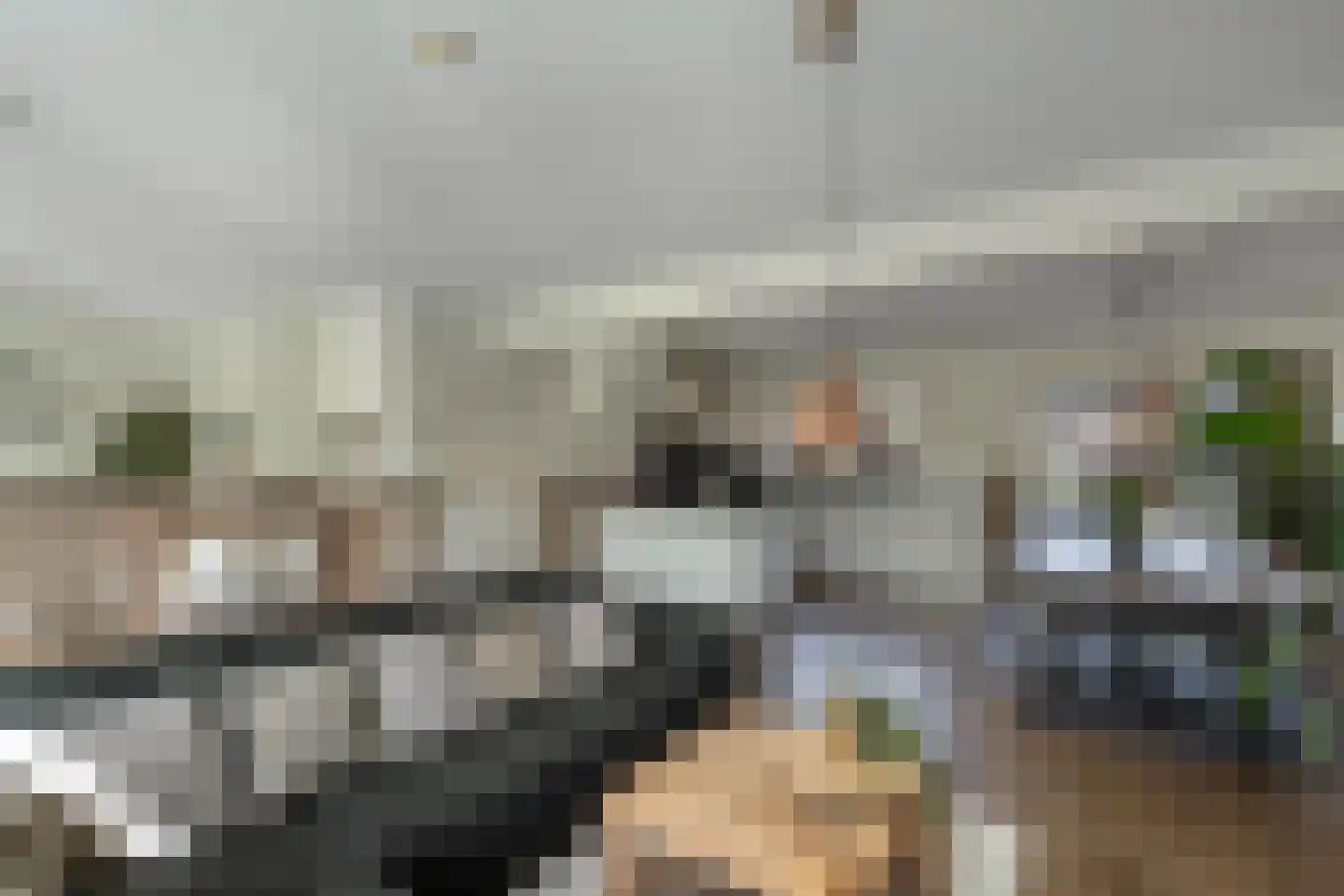 Feansterdyk 41 Akkrum thumbnail 21