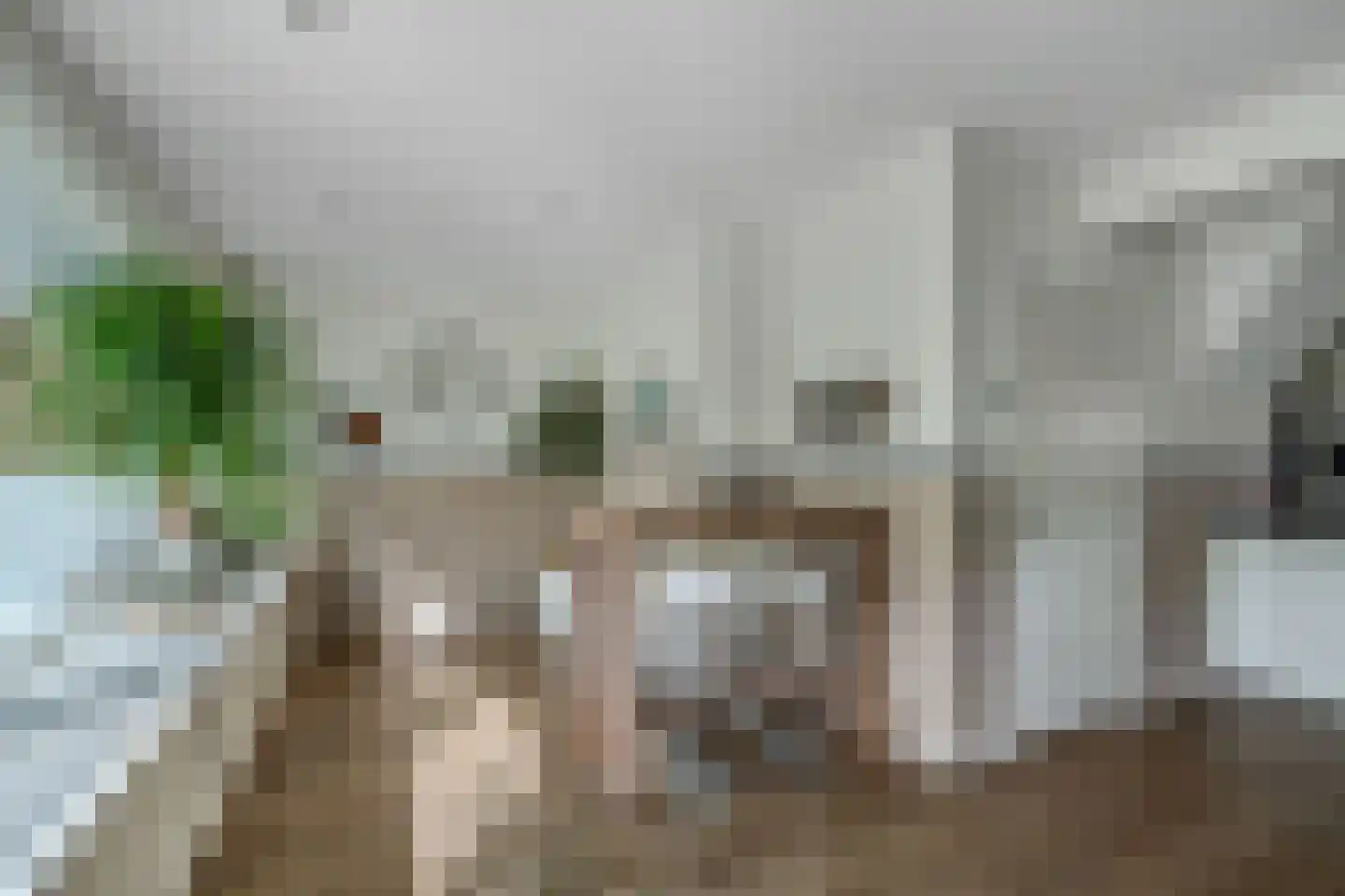 Feansterdyk 41 Akkrum thumbnail 22