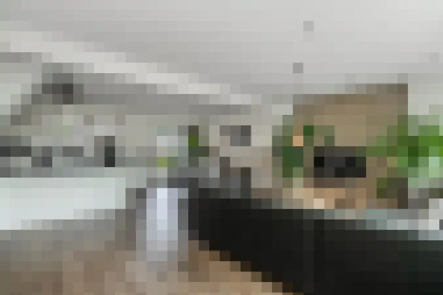 Feansterdyk 41 Akkrum thumbnail 24
