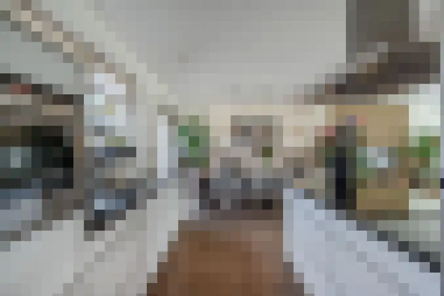 Feansterdyk 41 Akkrum thumbnail 25