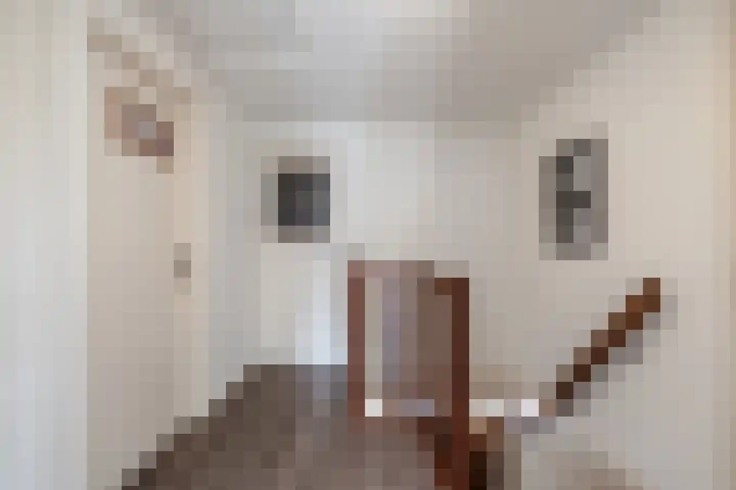 Feansterdyk 41 Akkrum thumbnail 31