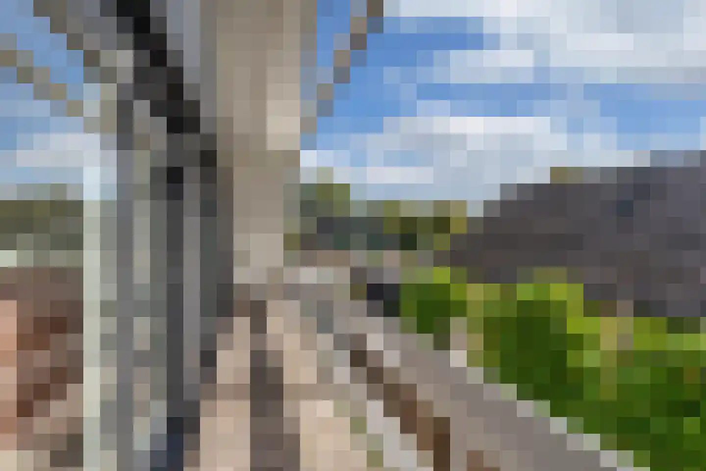 Feansterdyk 41 Akkrum thumbnail 38