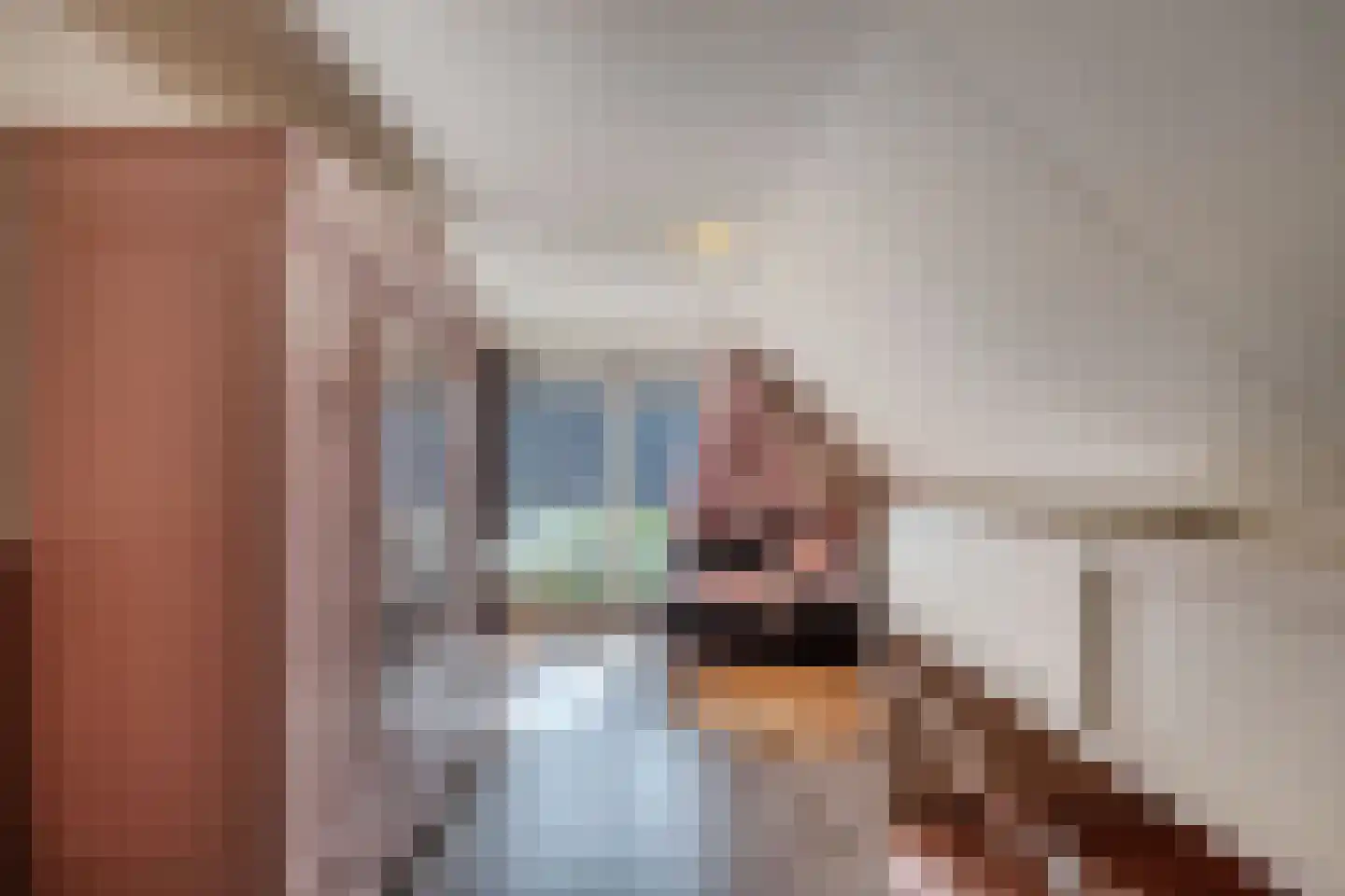 Feansterdyk 41 Akkrum thumbnail 39